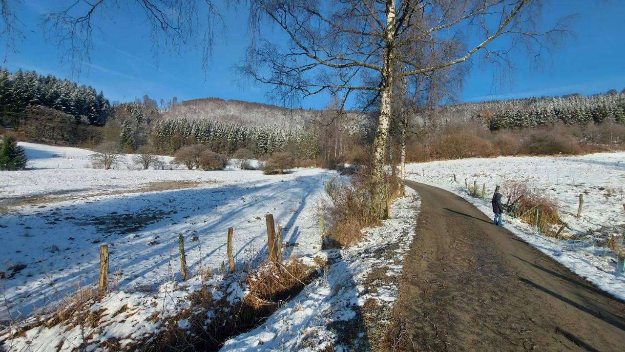 Enjoy Winterberg Apartment ภายนอก รูปภาพ